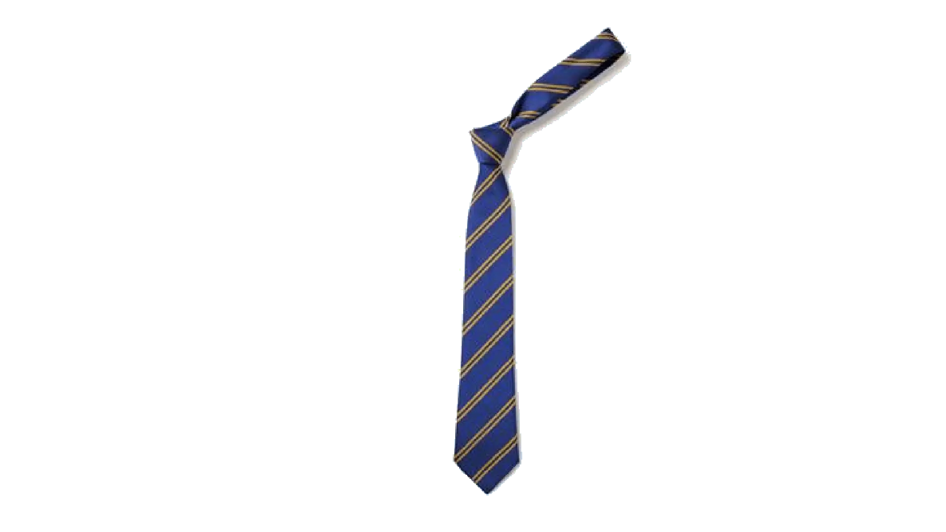 Springdale Tie (Standard and Elastic)
