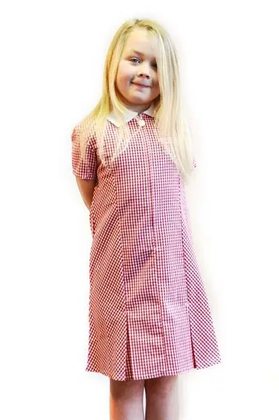 Newbridge Gingham Summer Dress - Image 2