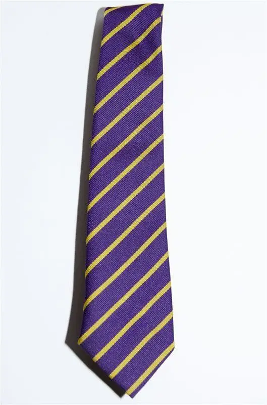 Lanesfield School Tie ( Standard & Elastic ) - Image 2