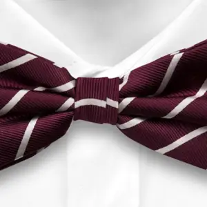 St Benedict Biscop Bow