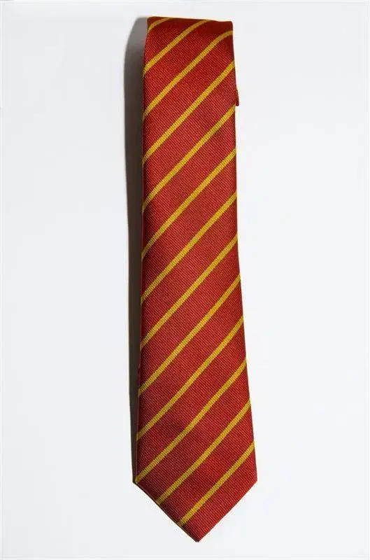 St. Michaels Tie (Standard and Elastic) - Image 2