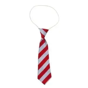 Red/Silver Wide Striped Elastic Tie