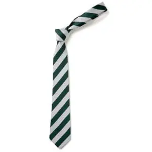 Bottle / Silver Standard Striped Tie