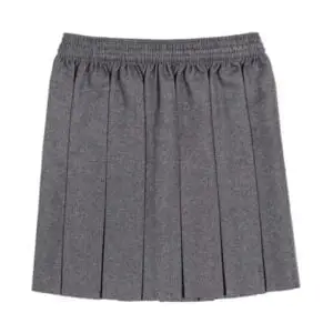 Box Pleat Skirt