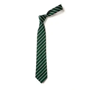 Silver/Green Striped Elastic Tie