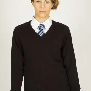 Standard Fit Cotton V- Neck