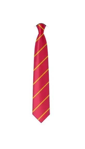 St. Michaels Tie (Standard and Elastic) - Image 4