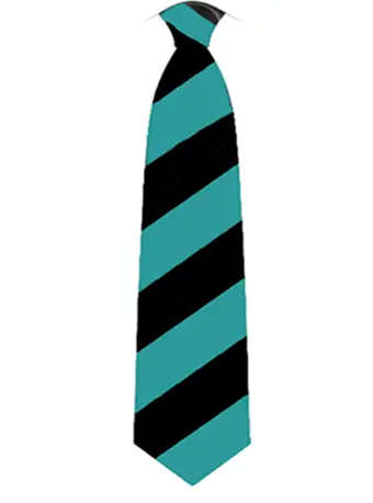 Ormiston New Academy Tie