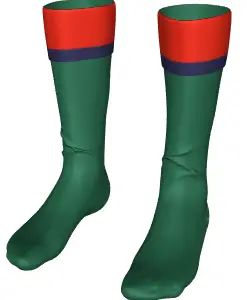 Newbridge P.E. Socks