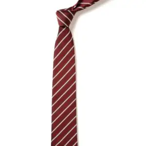 St Benedict Biscop Tie