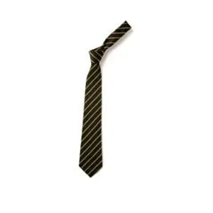 Castlecroft Primary School Tie