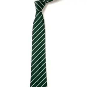 Pine Green Academy Tie