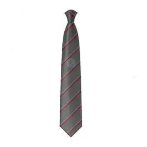 Thomas Telford UTC - Tie