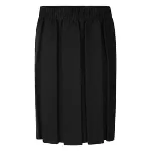 Black Box Pleat Skirt