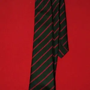 Worfield School Tie