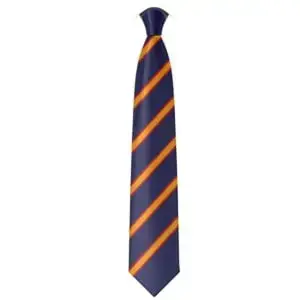 St Regis Year 10 - 11 Tie