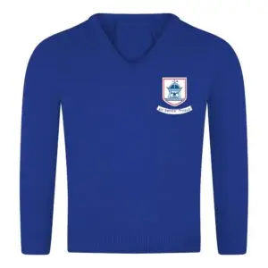 All Saints Trysull Knitted V